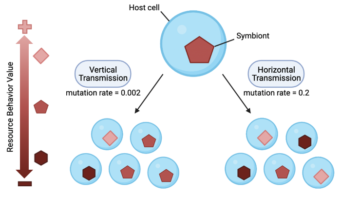 Figure showing overview of system