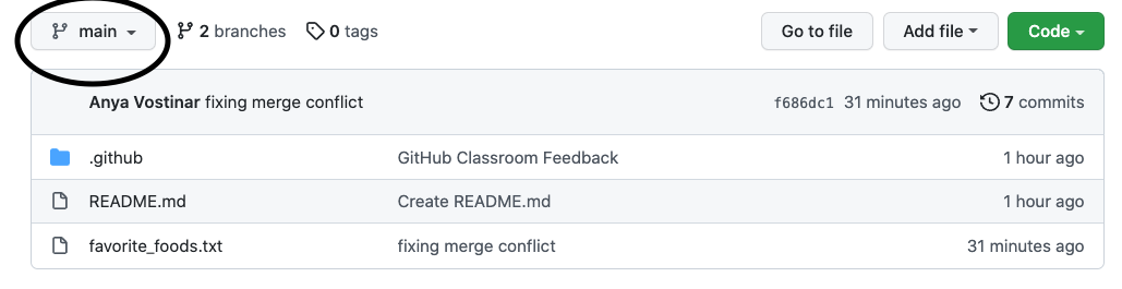 Git repository with main circled